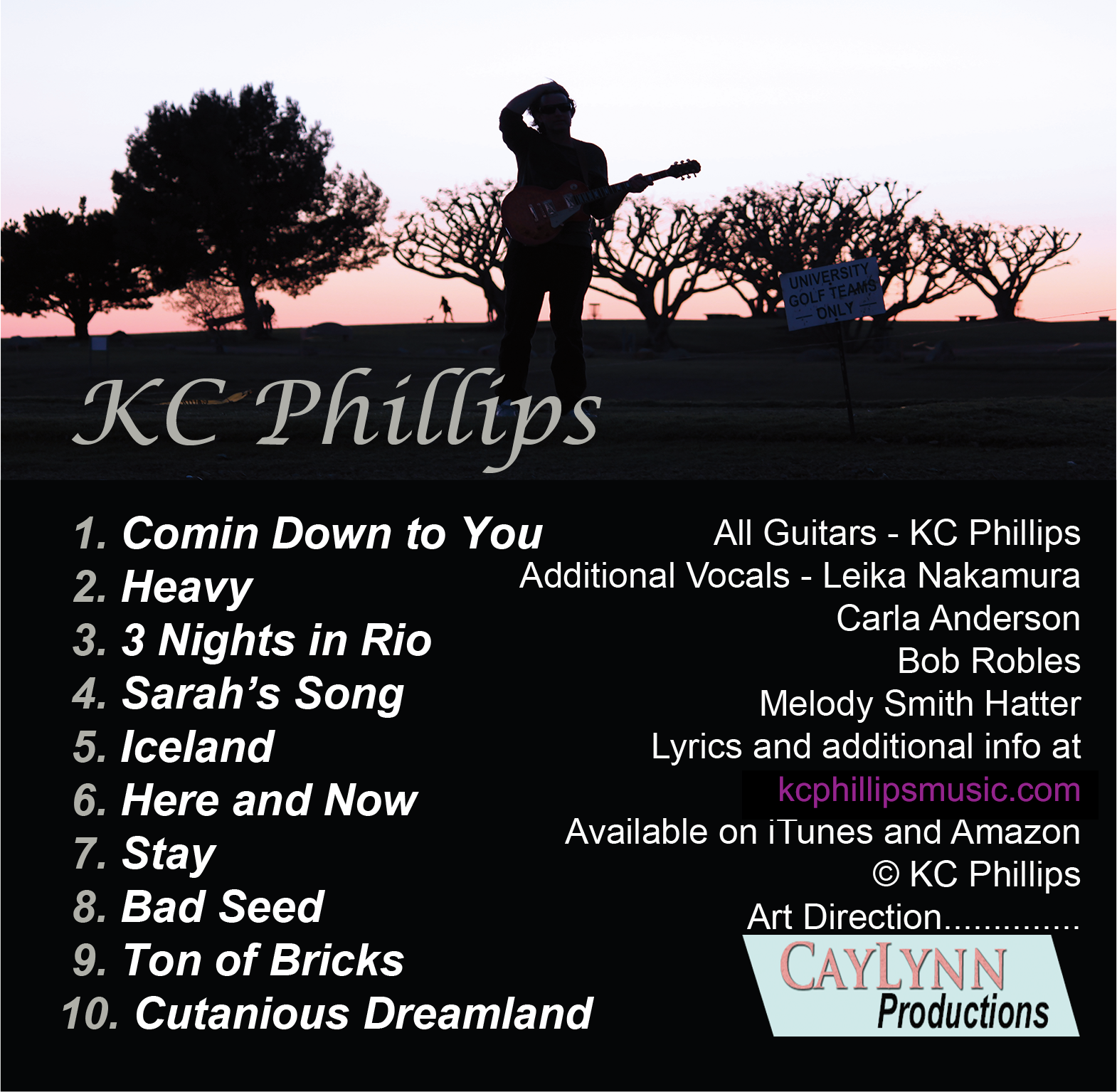 Managed Ambiguity back cover