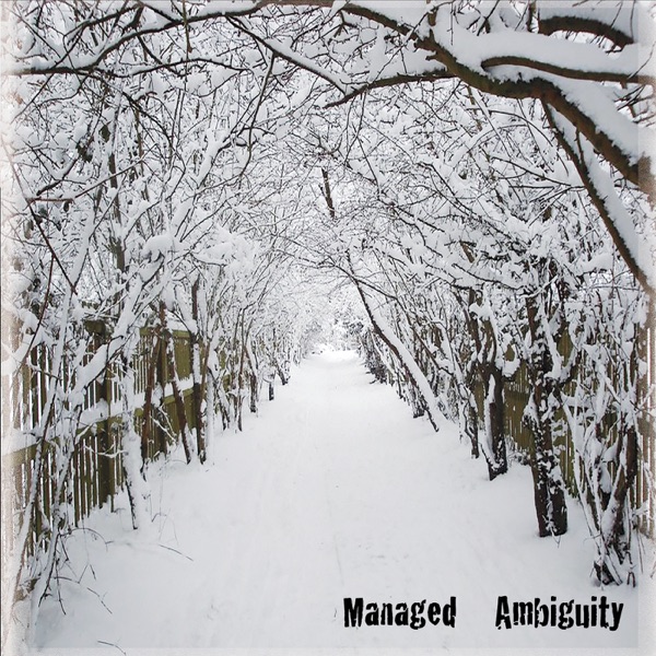 Managed Ambiguity front cover